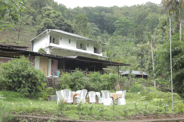 Scenery 10