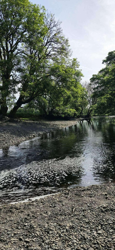Miscellaneous 3, Glan yr Afon Un - Relax, Recuperate, Enjoy, Powys