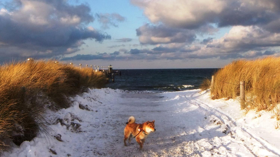 Others 5, Residenz Lausitz - Apartments fur Urlaub mit Hund, Rostock