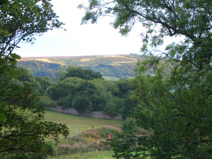 Others 4, Beechlands B & B, North Yorkshire