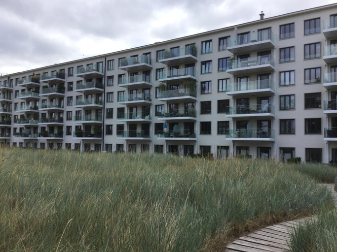 Seeadler mit Meerblick, Vorpommern-Rügen