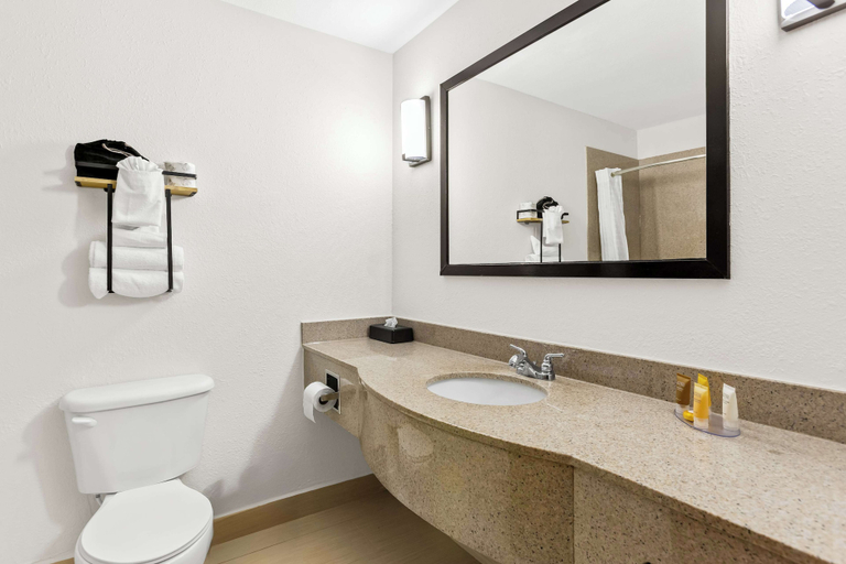 Bathroom 5, Sonesta Essential Beaumont, Jefferson