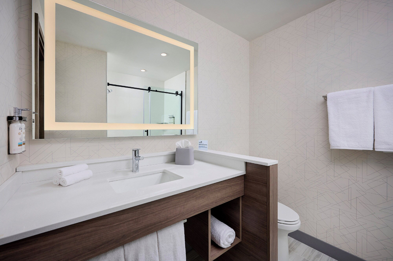 Bathroom 3, Holiday Inn Express Hamilton - Upper James, Hamilton