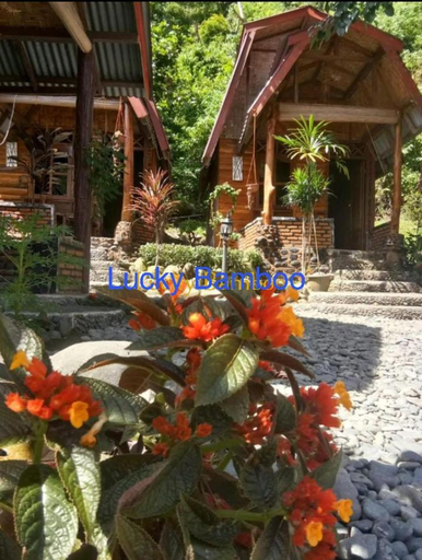 Scenery 11