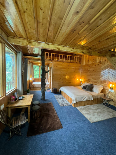 Bedroom 2, Manzil, Kullu