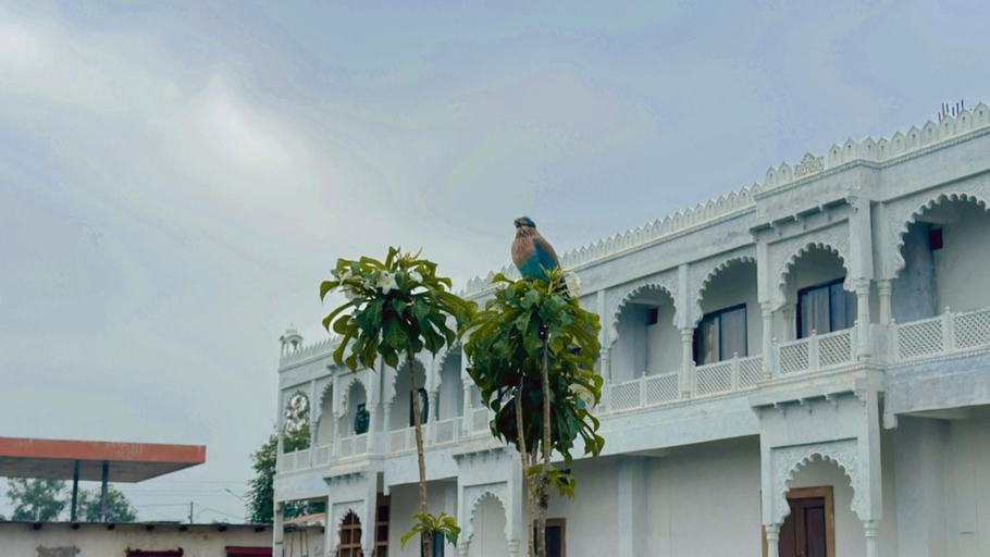 Exterior & Views 4, Shri Vishwanath Resort, Rajgarh