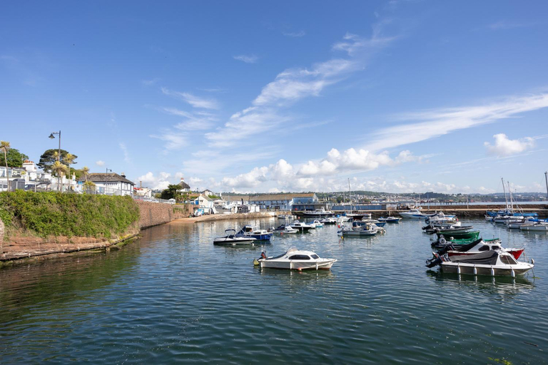 Others 5, The Birches - Luxurious Villa ideal for families, Torbay