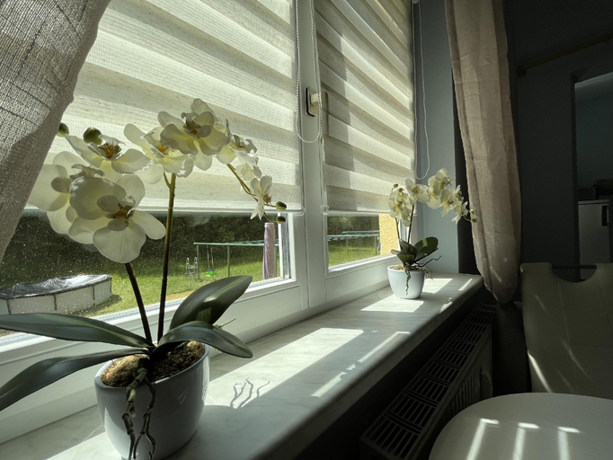 Others 2, gemütliche kleine Ferienwohnung in Altenberg, Sächsische Schweiz-Osterzgebirge