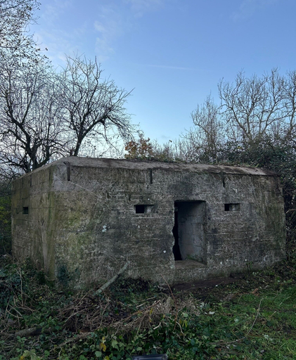 Others 5, Golden Fleece, Somerset