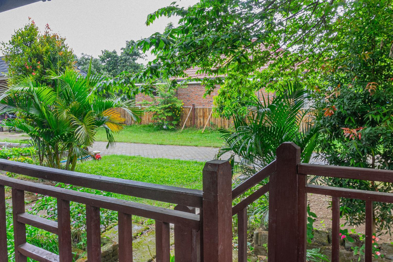 Scenery 9