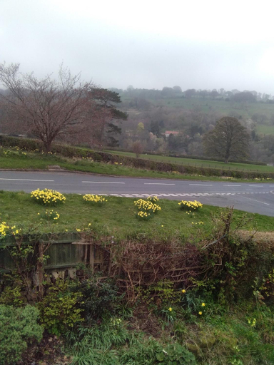 Others 5, Beechlands B & B, North Yorkshire