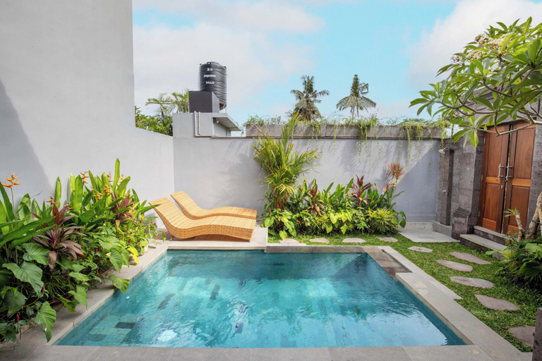 Swimming Pool 12