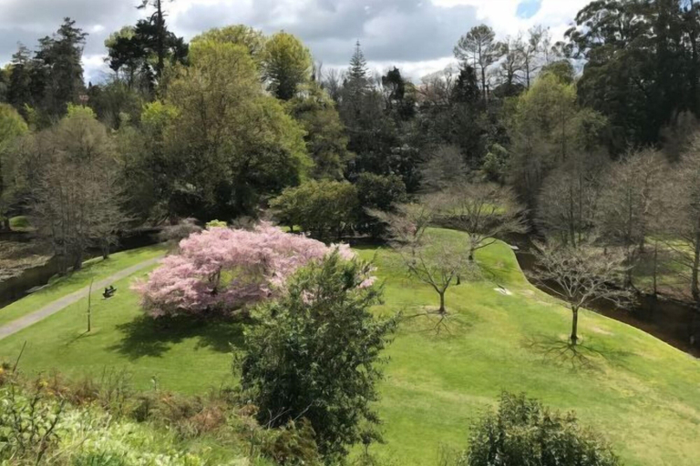 Others 5, Hidden Lake Hotel & Apartments, Waipa