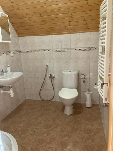 Bathroom 2, Ubytovani Borenovice, Benešov