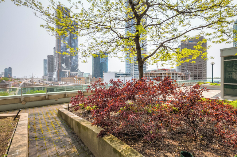 Exterior & Views, The Yonge Suites - Downtown Elegance, Toronto