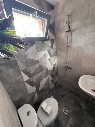 Others 3, Family Hotel Neliya, Velingrad