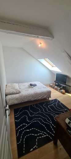 Bedroom 2, Appartement Le Mans centre ville proximite circuit, Sarthe