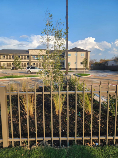 Others 5, Liv Inn and Suites, Houston