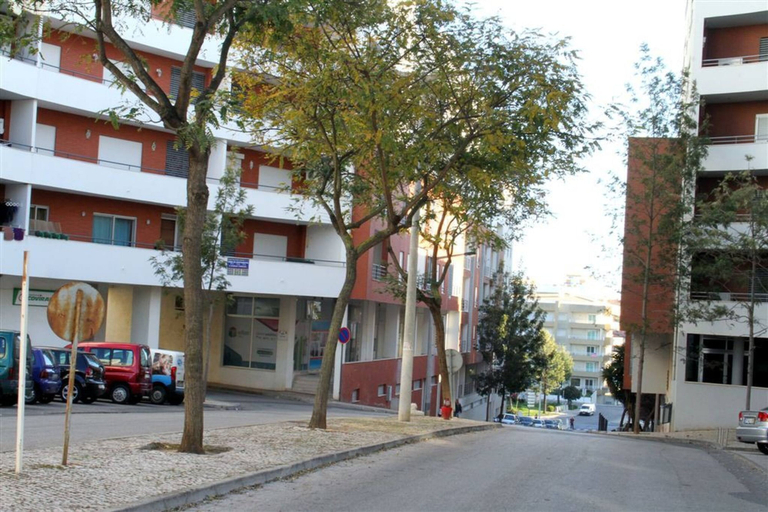 Room 5, 36, Portimão