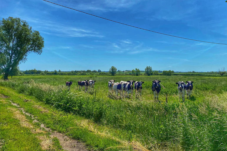 Others 5, "Dolina" na Zulawach, Elbląg