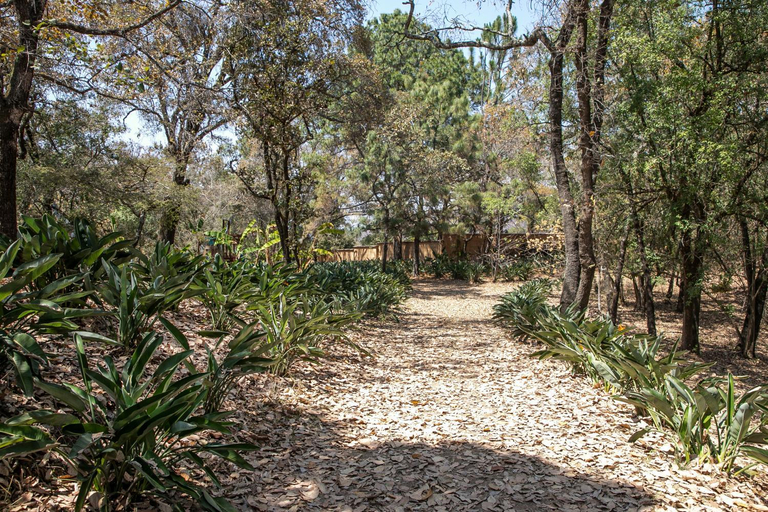 Others 2, Exclusive Ranch in Valle de Bravo with Pool, Valle de Bravo