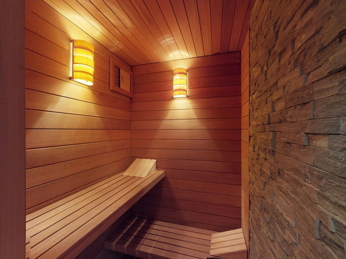 Property amenity 4, Be Cool Sauna & Luxury Chalet 10 Pers, Hérens