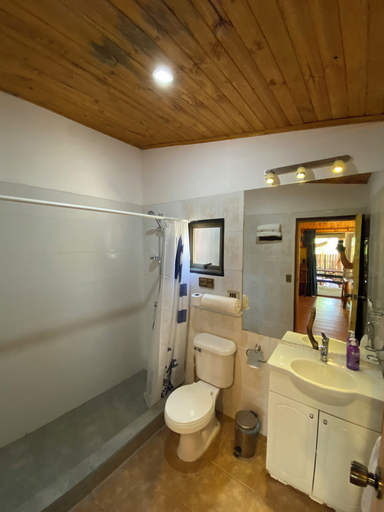 Bathroom 4, Lodge Colbun, Linares