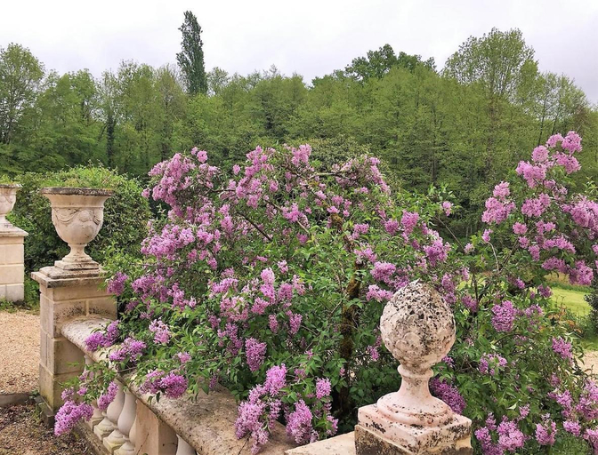 Others 5, Chateau de Moison, Cher