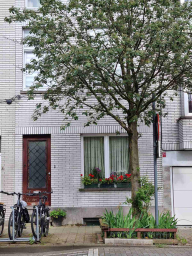 Others 2, Guesthouse Djulia, Oost-Vlaanderen