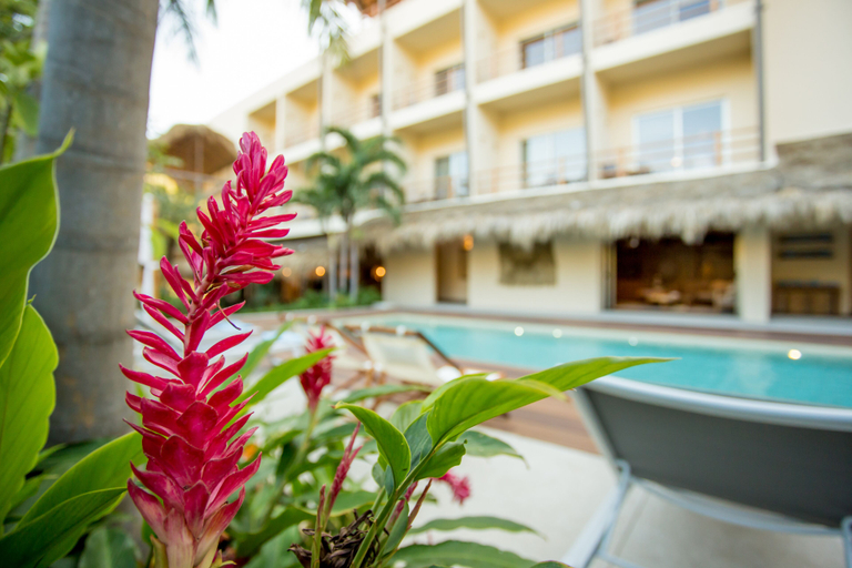 Exterior & Views 2, Hotel Casa Bocana, Dist. Pochutla