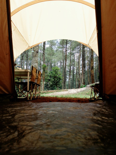 Scenery 9