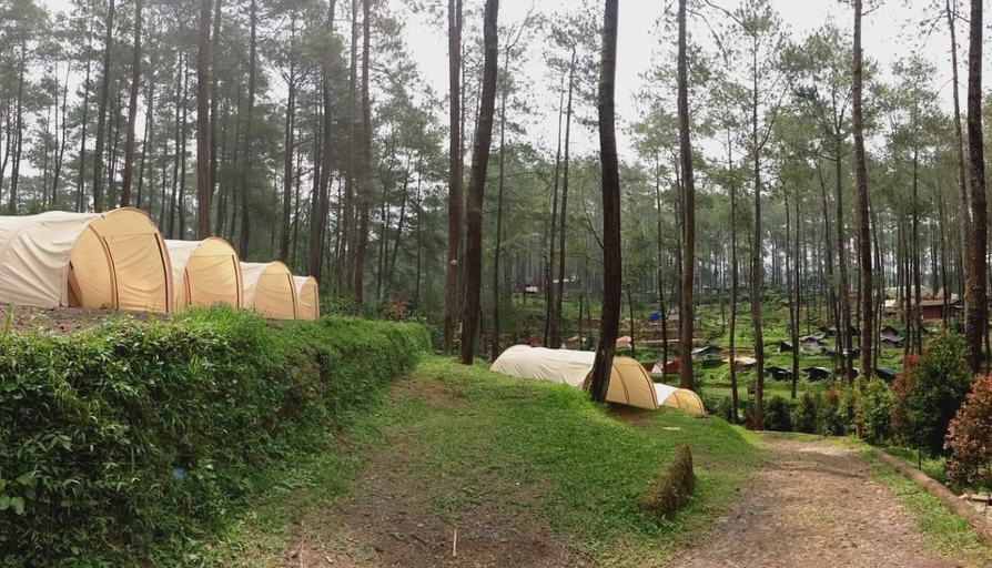 Scenery 12
