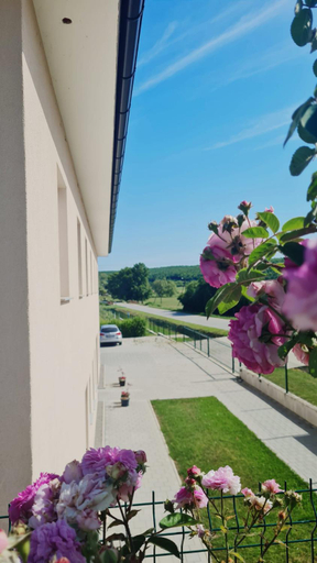 Others 4, Oaza L, Levanjska Varoš