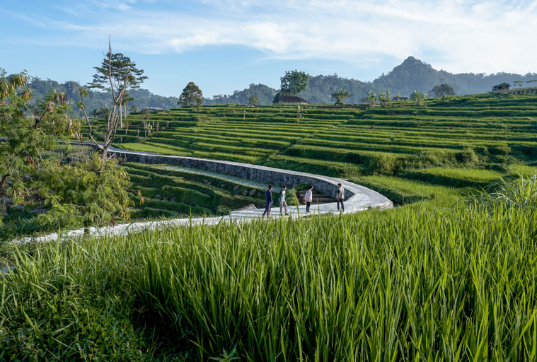 Scenery