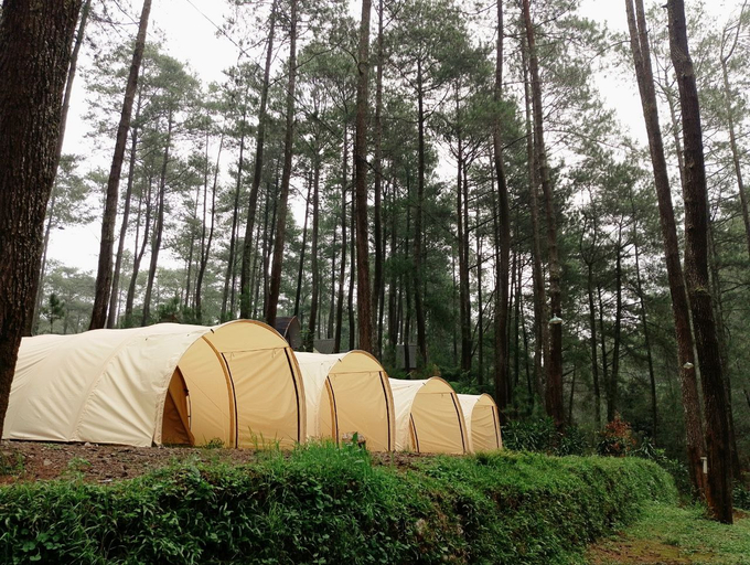 Scenery 14