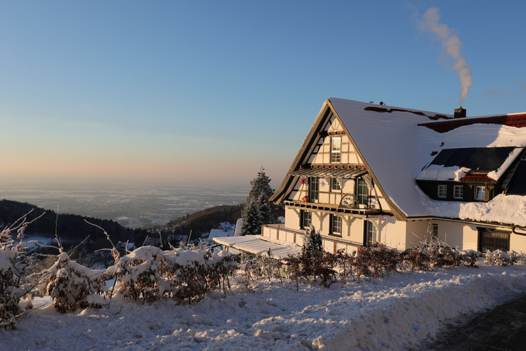 Hotel Grüner Baum, Ortenaukreis