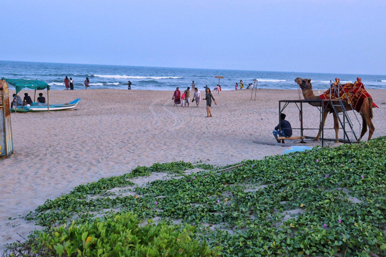 Exterior & Views 5, GT. Guest House , Puducherry