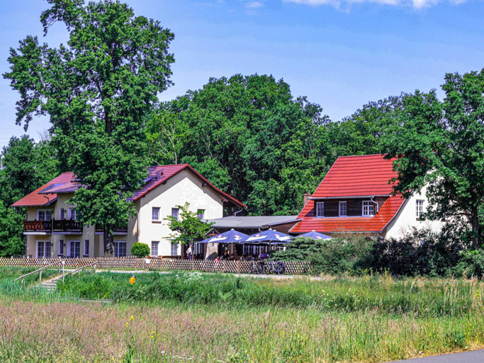 Primary image