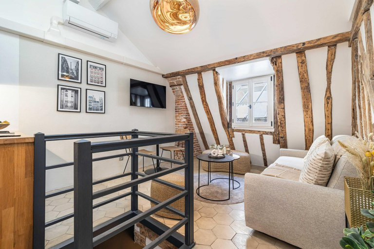 Living room 4, Amazing Historical Parisien Loft Next TO Louvre Area ! 6, Paris