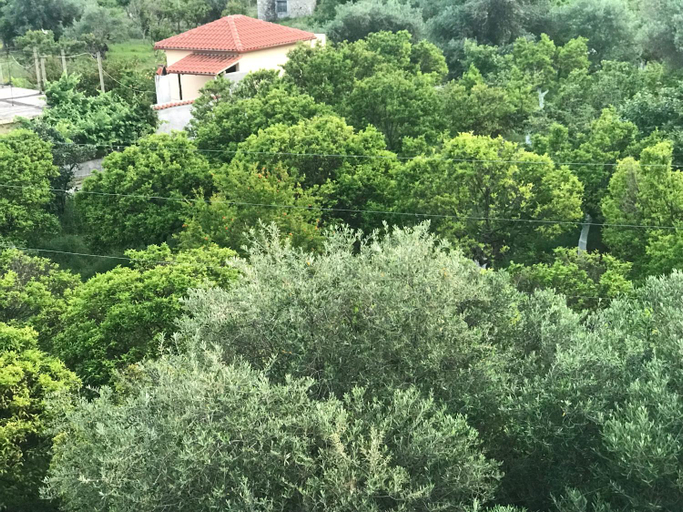Others 4, VIAL Rooms, Vlorës