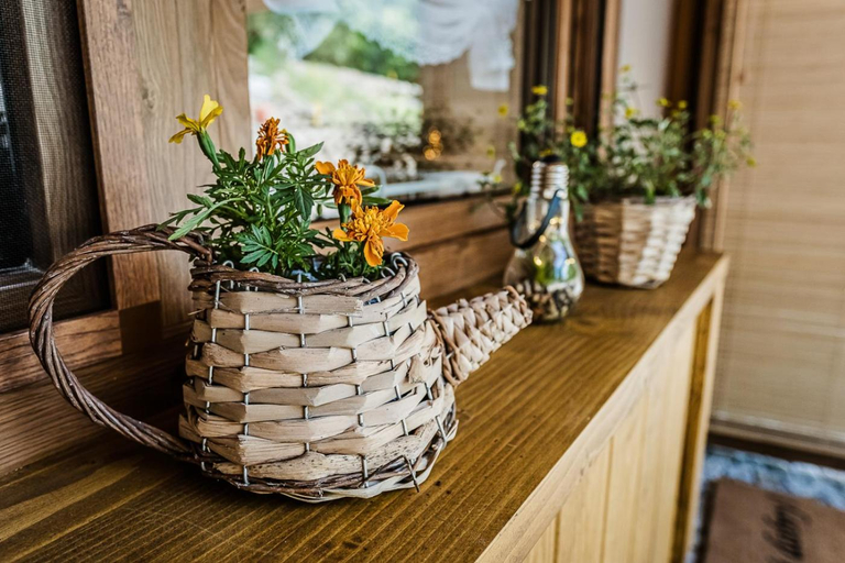 Food & Drinks 5, Domki nad Stawami, Limanowa