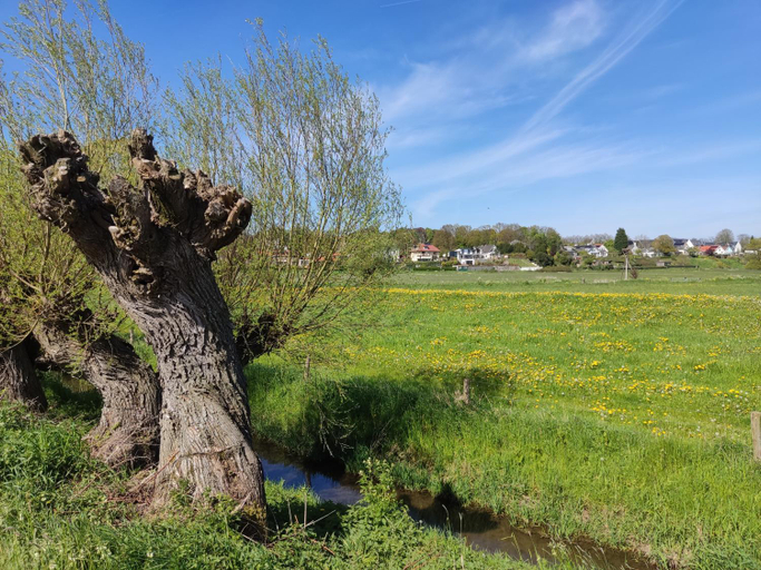 Others 5, Cornfield, Renkum