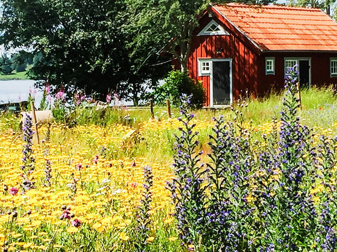 Exterior 4, 2 Person Holiday Home in Bello, Eksjö