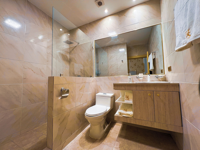 Bathroom 3, Hotel Sucre, Quito