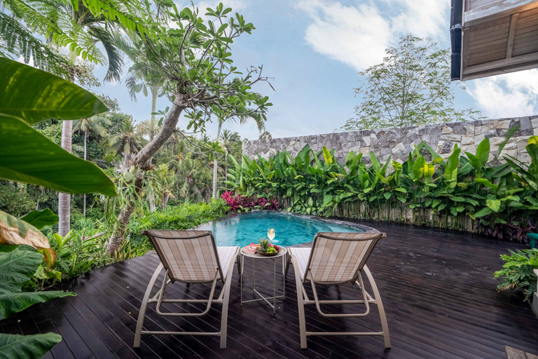 Swimming Pool 4