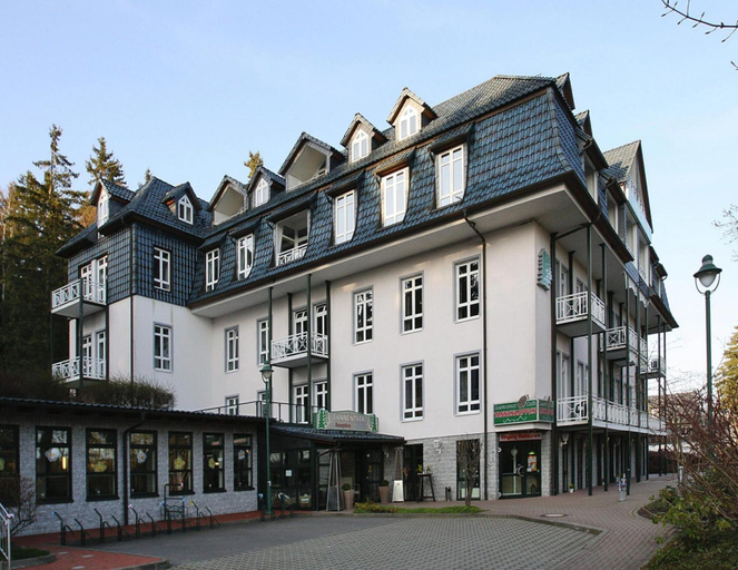 Exterior 4, Wohnung in Tanne mit Einem Gemeinsamen Pool, Harz