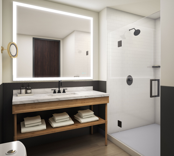 Bathroom 4, Hyatt Centric Downtown Denver, Denver
