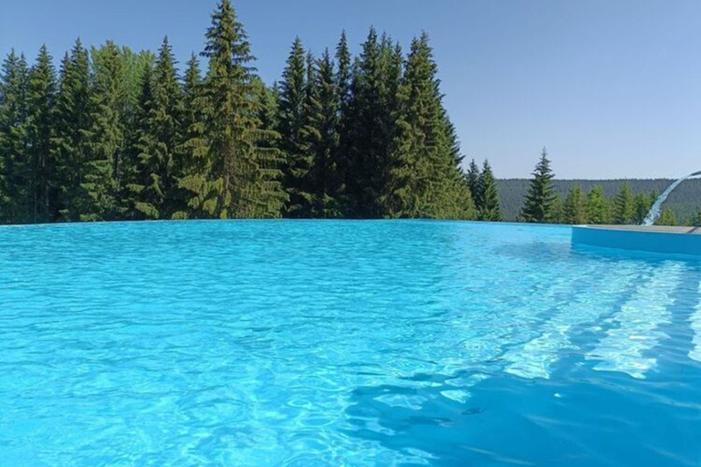 Pool 2, Appartements mit Aussenpool und Sauna, Breitenbrunn, Erzgebirgskreis