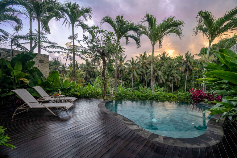 Swimming Pool 5