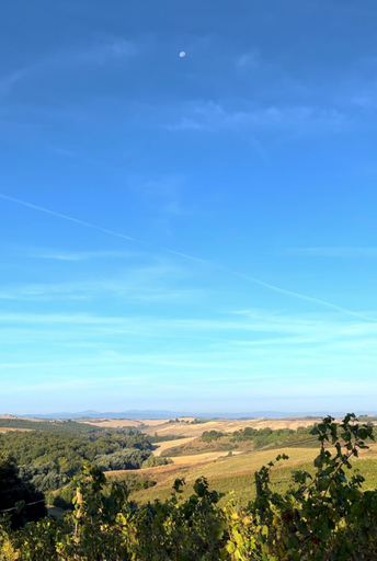 Others 5, Podere Sole, Siena